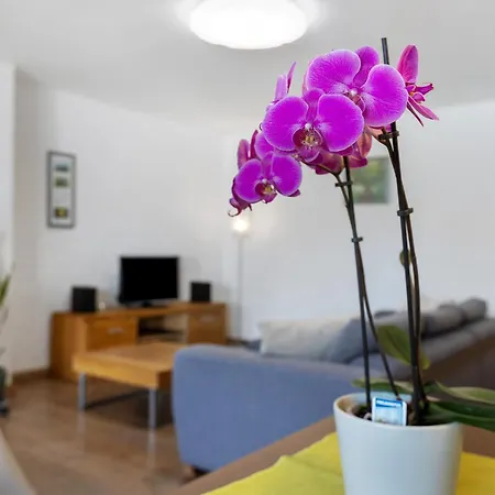 Heilsbergblick Apartment *